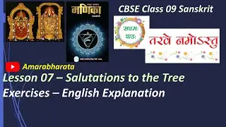 Manika Class 09 Sanskrit Lesson 7 - तरवे नमोऽस्तु, English Exercises