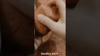 Stony red dirt #drycrumbling #reddirt #grittytexture #oddlysatisfying #youtubeshorts #asmr
