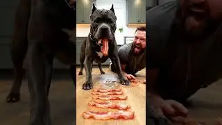 Camera Shake Level: 1000 🤣 #funny #pets #food #animals #cutedog #eat  #eating