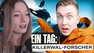 M4ndytv reagiert auf 1 Tag als Killerwal-Forscher (Tomatolix)