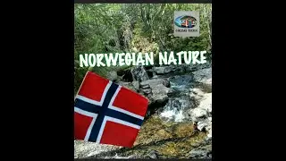 The secrets of OSLO MARKA 2020 / I DEN NORSKE NATUREN / WILD ELG & TROUT