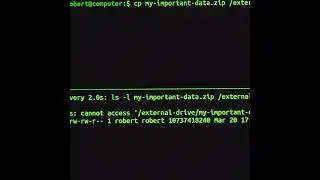 The 'sync' Command In Linux