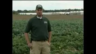 Meet Jason Ruhlig: A Vegetable Farmer from Carleton, Michigan. Storing fresh vegetables.