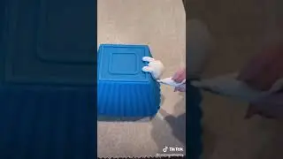 Daily dose of serotonin! (Fluffy cloud cat edition)