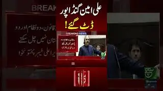 #Suchnews #breakingnews #reel #aliamingandapur #pti #imrankhan #ptileaders
