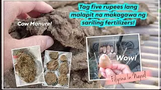 Buhay sa Nepal : Tag five rupees lang pede kana magkaroon ng fertilizers at napasyal sa kapitbahay!