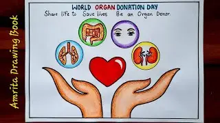 Organ Donation Day Poster Drawing  | How to Draw Poster on World Organ Donation Day | Human Organs