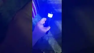insanely bright