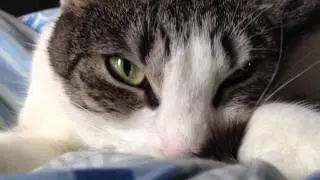TiGa am nuckeln