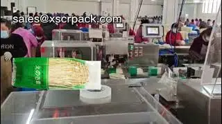 Australian Fresh Flammulina|Seafood Mushroom|Tea Tree Mushroom Packaging Machine
