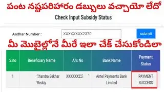 Input subsidy payment status 2022|ysr uchitha pantala bima status|ysr uchitha pantala bheema.