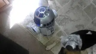 More fun with voice activated R2D2 and Ginger