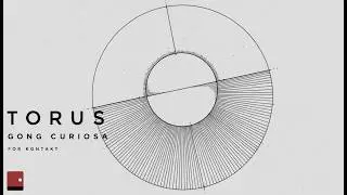 We turned a giant gong into a sub-bass monster ● TORUS v1.7 ● Gong Curiosa ● By Wrongtools