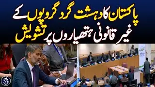 Pakistan Expresses Concern Over Illegal Arms in Terrorist Groups - Aaj News