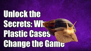 Unlock the Secrets: Why Plastic Enclosures are a Game Changer for Giant African Land Snails!