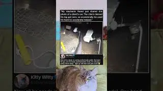 Режим полной марионетки активирован.