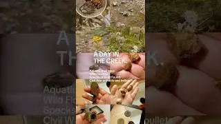 Civil War relics and Gold!
