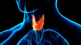Thyroid Chakra ENERGY FREQUENCIES
