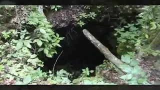 Henson's Arch