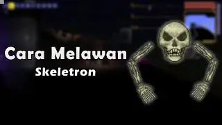 Cara Mengalahkan Skeletron Agar Bisa Masuk ke Dungeon Terraria