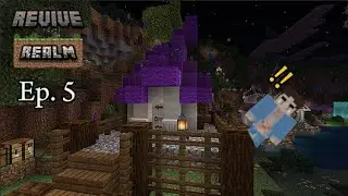 Starting a Mega Build(sorta).Also, WIZARD HUT(Revive Realm Episode 5)