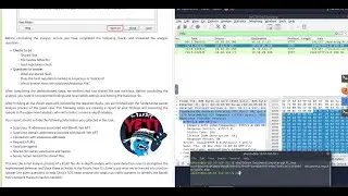 Advent of Cyber 2022 - Day 13 -  Simply having a wonderful pcap time