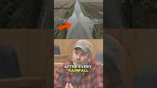 The farmer is accused of causing the road to flood.
