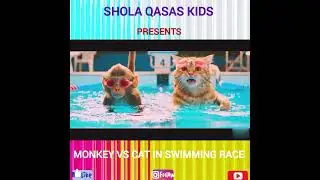 Monkey VS Cat in swimming race #funny #animal #viral #subscribe