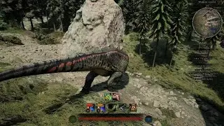 Good kill as a pair of Rex&rsquo;s  