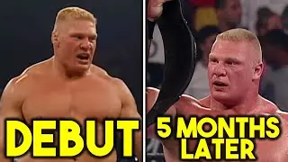 10 лучших лет новичка в истории WWE
