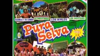PURA SELVA ♫ - Cumbia Amazónica (2001) -DISCO COMPLETO- #cumbia #peru