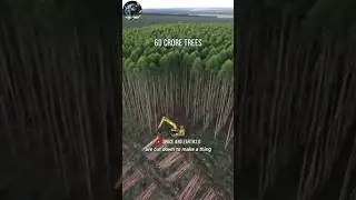 harmful effects of cutting trees 🌴 #cuttingtrees #cuttingtree #deforestation #treescollection  #fact