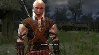 Witcher EE - Hard difficulty Test Stream mute