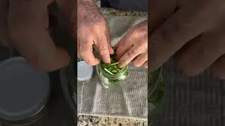 CONSERVA TU CILANTRO FRESCO POR M&Aacute;S TIEMPO #tip #hack