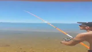 João Azevedo - Pesca ás Douradas
