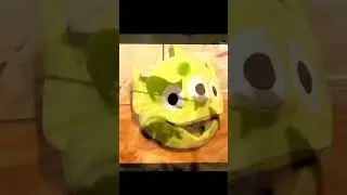 #котики#2024 #tiktok