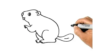 How to DRAW a BEAVER Easy Step by Step