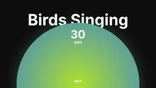 30 Minutes of Birds Singing with Relaxing Music, Breathing & Facial Exercises for Focus & Relaxation