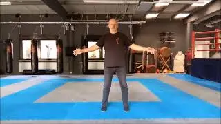 GUOLIN-QIGONG gegen Krebs Gehen 1 / Mittleres Gehen mit Windatem. TCM Heilpraktiker Andreas Schmidt
