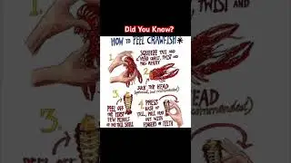 Did You Know&hellip; How to peel crawfish? #shorts  #crawfish #crawfishboil