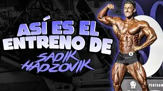 EL MEJOR ENTRENAMIENTO de PIERNAS por SADIK HADZOVIK *CONSEJOS*