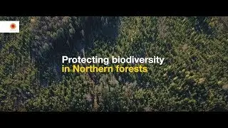Protecting biodiversity in Northern Forests