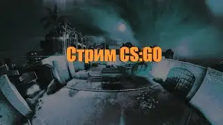 ИГРАЮ В ММ/ПОЛУЧАЮ ЛЕМА В КС ГО/СТРИМ КС ГО