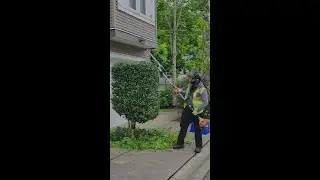 Hedge Trimming in Langley, BC