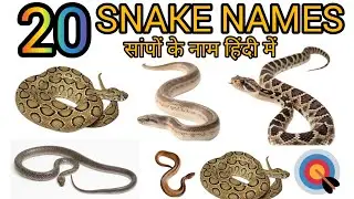 20 सांपो के नाम सीखे बच्चों के लिए । Learn 20 snake names for kids pictures and sound | vocabulary 