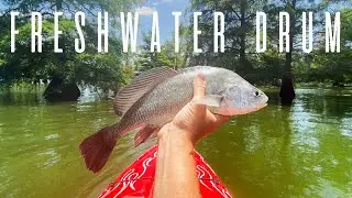 Fishing Lake Chicot: The Largest Oxbow Lake in North America
