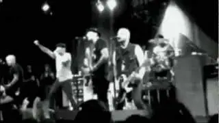 Street Dogs - 