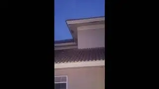 Bats In Roof Leaving At Dusk