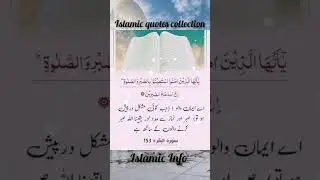 Islamic quotes collection amazing quotes #deeplines #quran #quranquotes #shorts #shortvideo
