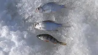 Зимний день